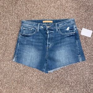 Joes Jeans Distressed Shorts